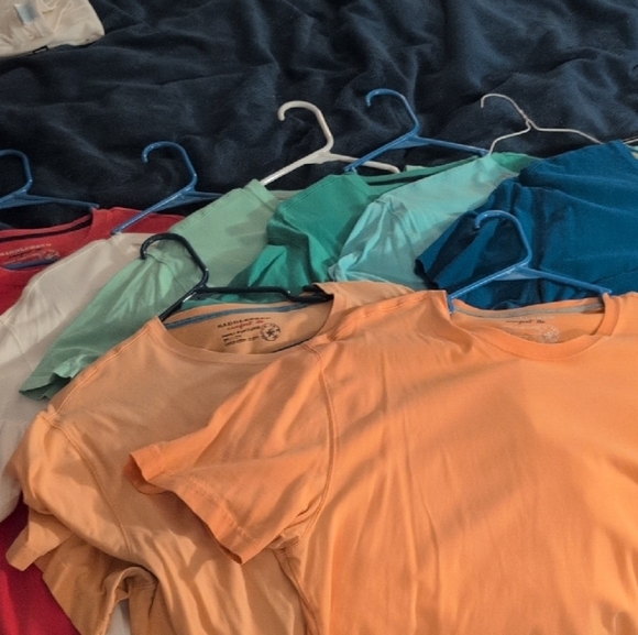 Saddlebred Bundle Short Sleeve Tee 8 Solid Colors - Picture 1 of 7